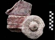 Figura 3:79 - Esta es la orejera m&aacute;s grande que se identific&oacute; en la colecci&oacute;n, y en lugar de un agujero tiene una pieza central. Esta orejera se correspond&iacute;a con la gran cabeza de K'inich Ajaw, Figura 3:93.