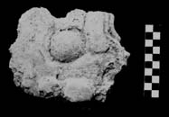 Figura 3:90 - Este es un fragmento de una figura sobrenatural, cuya identificaci&oacute;n no se ha podido determinar debido a la naturaleza fragmentaria de la pieza.