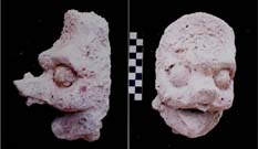 Figura 3:92 - Cabeza de un ser sobrenatural, probablemente el Dios K. N&oacute;tese la nariz proyectada, con prominencias. Sobre su frente se observa un dise&ntilde;o inciso, del cual s&oacute;lo puede distinguirse una parte debido a su mal estado de preservaci&oacute;n.
