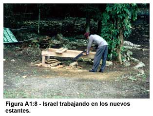 Figura A1:8-Israel trabajando en los nuevos estantes.