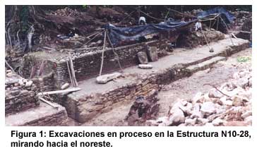Figura 1: Excavaciones en proceso en la Estructura N10-28, mirando hacia el noreste.