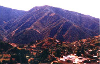 Figura 1. Vista de Santa María Coatlan desde el sendero de entrada (Enero 1998).