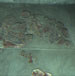 Mural 3, Tablero (150,259)