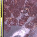 Mural 3, Talud (216,25)