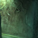 Mural 5 (268,00)