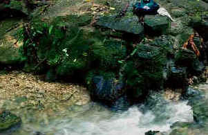 Figure 4 - Motiepa's calcified aqueduct