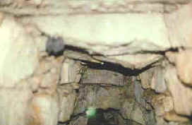 Figure 5 - Interior of Piedras Bolas aqueduct