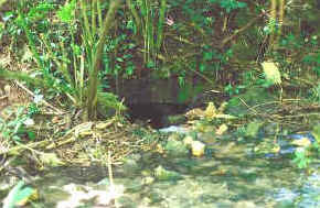 Figure 9 - The entrance to the Picota aqueduct