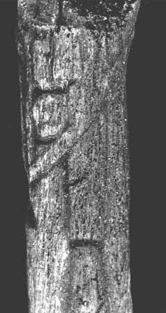 Figure 12. Central portion of the Xmuqlebal Xheton Figurine showing the garment and a design element on the garment. Figure 12. Central portion of the Xmuqlebal Xheton Figurine showing the garment and a design element on the garment.