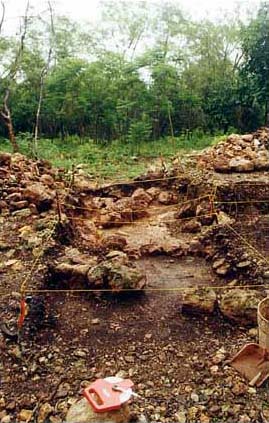 Figure 3a. Photo looking north of a horizontal trench showing the Substructure's interior and exterior walls and stucco floor surfaces.