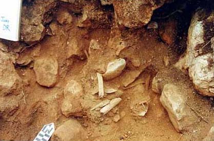 Figure 3c. Photo looking north of the skeletal remains of Burial 13 which appears to have been interred in a seated position located in the SE portion of the Substructure.