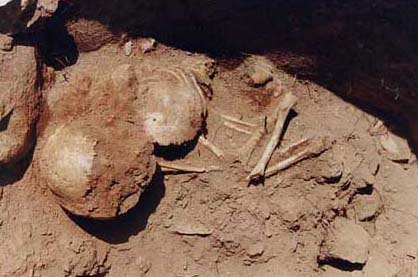 Figure 3d. Photo looking south of the burial remains of a fairly well preserved sub-adult in a flexed position resting on the right side within the Substructure's stucco-lined depression at the Sacta Group.