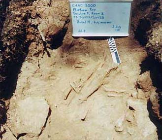 Figure 3e. Photo of Burial 14 from Structure 5, Room 3 of the Platform Group. This burial appears to have been interred in a flexed position on its left side.