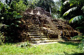 Foto 40. Tikal, Estructura 5D-83, fachada principal, 5 de mayo, 1991.