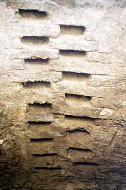 Figure 3d. Close-up view of sampled test pit.