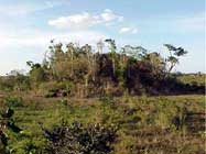 Photo 8. Main and largest structure from central plaza in Chohuac-há or El Cafetal.