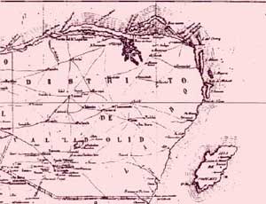 Image 37