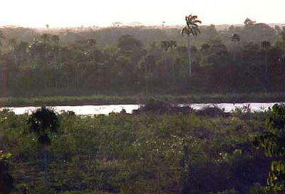 Photo 7. Chohuac-h&aacute; Lagoon, main source of fresh water for the pre-hispanic settlement and the first Villa de Valladolid founded in 1543.