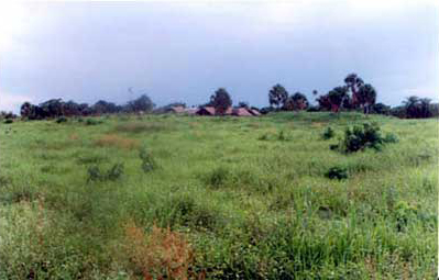 Photo 10. Area where one of the main groups of Sinsimato was located, now completely devastated. Presently, only small mounds are visible.
