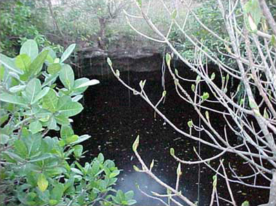 Photo 11. Partial view of the cenote, town of La Sierra.