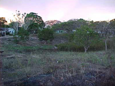 Photo 13. Rejollada within the modern town of La Sierra, used as recreational area when the timber industry was at its peak.
