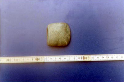 Photo 24. Fragment of greenstone axe from a structure north of the modern town of Teapa.