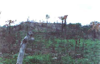 Photo 28. Main structure from Site 1, south of the road.