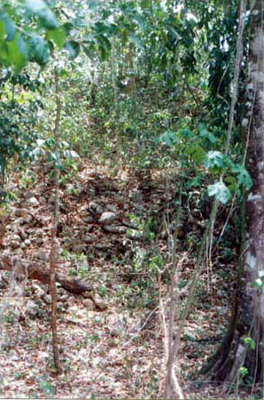 Photo 32. Main structure of southwestern group, Nohcachí. Photo 32. Main structure of southwestern group, Nohcachí.