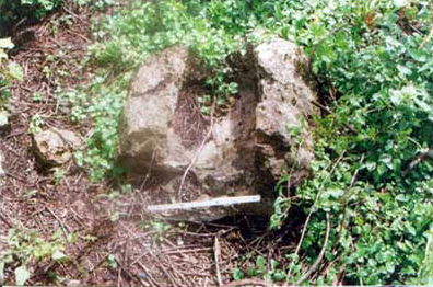 Photo 33. Metate found in the lands of the modern ranch of Nohcachí. Photo 33. Metate found in the lands of the modern ranch of Nohcachí.