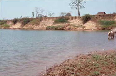 Figure 2: View of El Bajío's profile prior to excavation (July 1999). Figure 2: View of El Bajío's profile prior to excavation (July 1999).