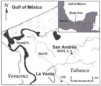 Figure 1. Map of the study area showing the location of the Olmec center of La Venta and adjacent site of San Andrés. Figure 1. Map of the study area showing the location of the Olmec center of La Venta and adjacent site of San Andrés.