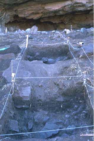 Plate 9. Test (1 square) pits on talus below shelter mouth at Moreno 3.