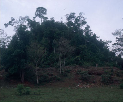 Figure 6. Palace structure built against a sacred hill on east side of main plaza, Raxruja Viejo. Figure 6. Palace structure built against a sacred hill on east side of main plaza, Raxruja Viejo.