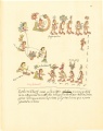 Click on image to enlarge