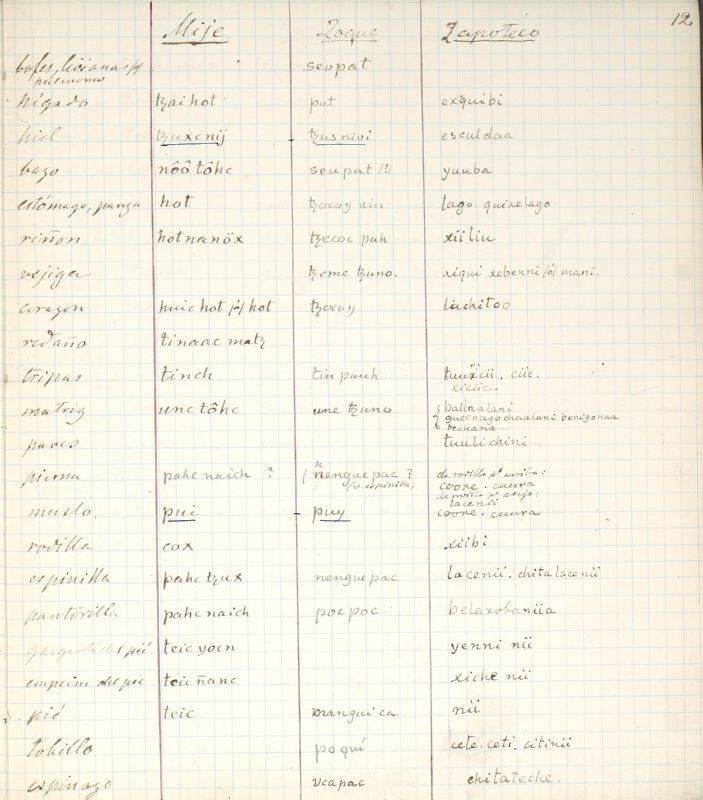 ms_coll_700_item101_wk1_body0023