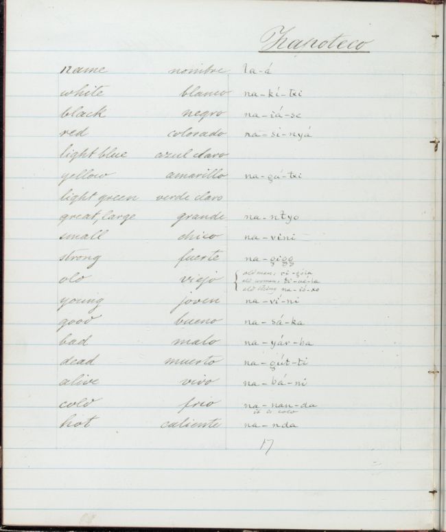 ms_coll_700_item107_wk1_body0018
