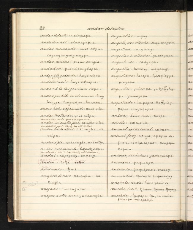 ms_coll_700_item109_wk1_body0022