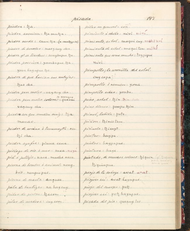 ms_coll_700_item109_wk1_body0197