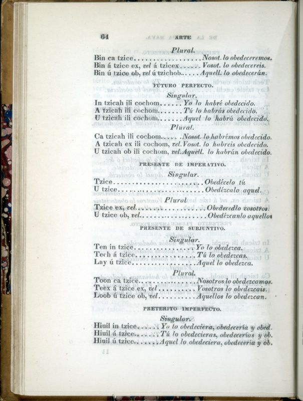 ms_coll_700_item10_c1_wk1_body0064