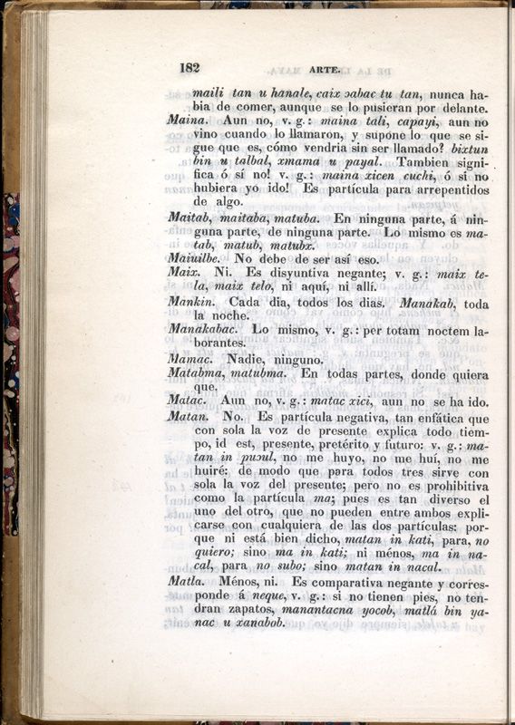 ms_coll_700_item10_c1_wk1_body0182
