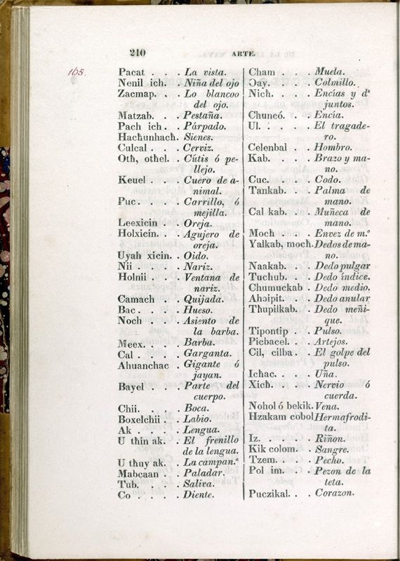 ms_coll_700_item10_c1_wk1_body0210