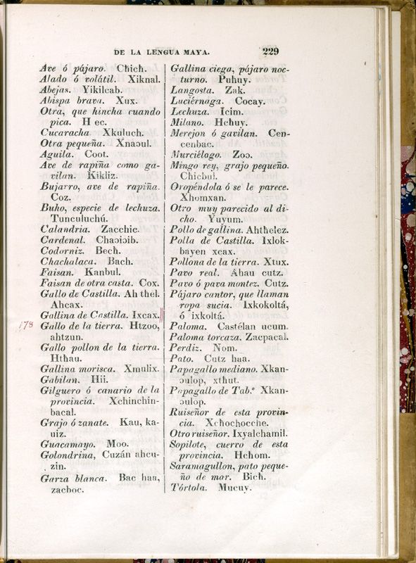 ms_coll_700_item10_c1_wk1_body0229