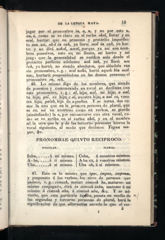 ms_coll_700_item10_c2_wk1_body0015