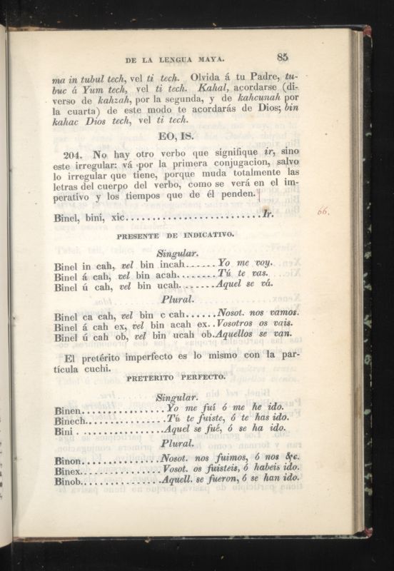 ms_coll_700_item10_c2_wk1_body0085
