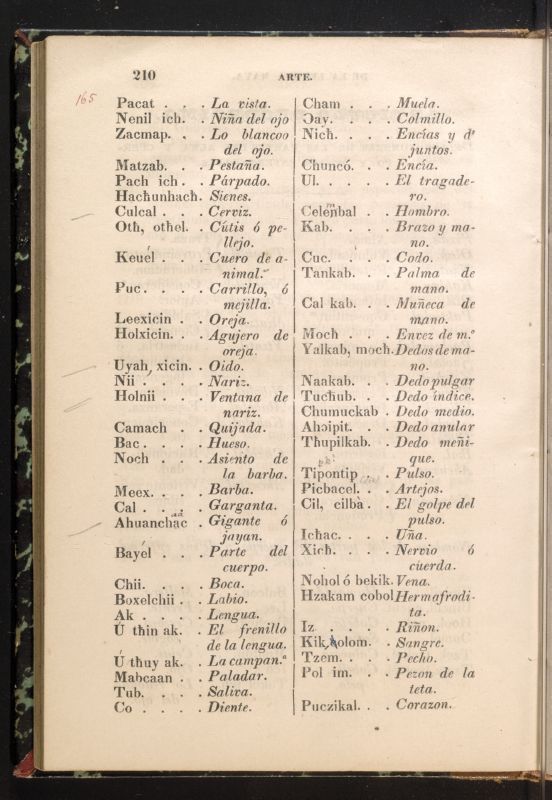 ms_coll_700_item10_c2_wk1_body0210
