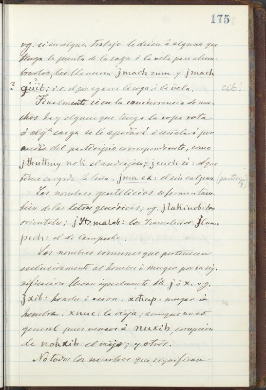 ms_coll_700_item11_wk1_body0129