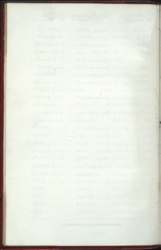 ms_coll_700_item125_wk1_body0004