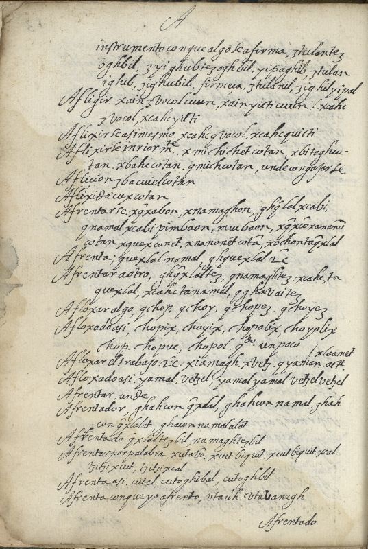 ms_coll_700_item184_wk1_body0022