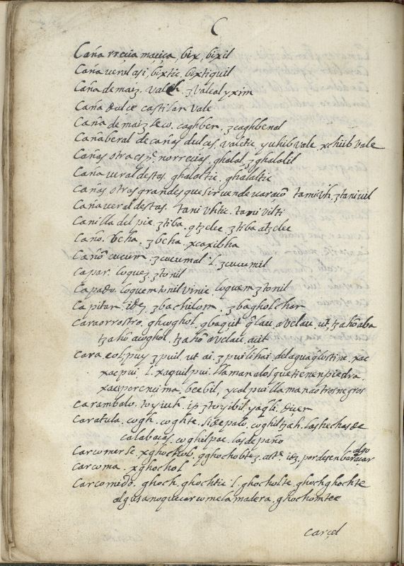ms_coll_700_item184_wk1_body0070