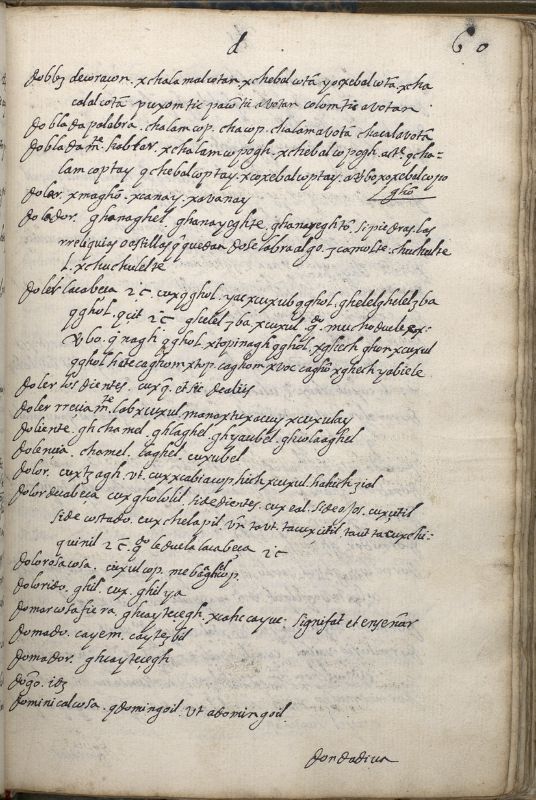 ms_coll_700_item184_wk1_body0117